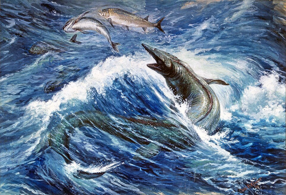 Charles R. Knight Tylosaurus - Canvas Print