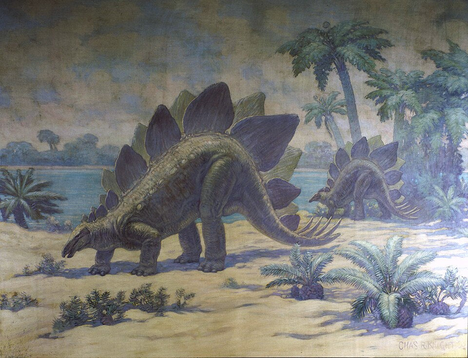 Charles R. Knight Stegosaurus - Canvas Print