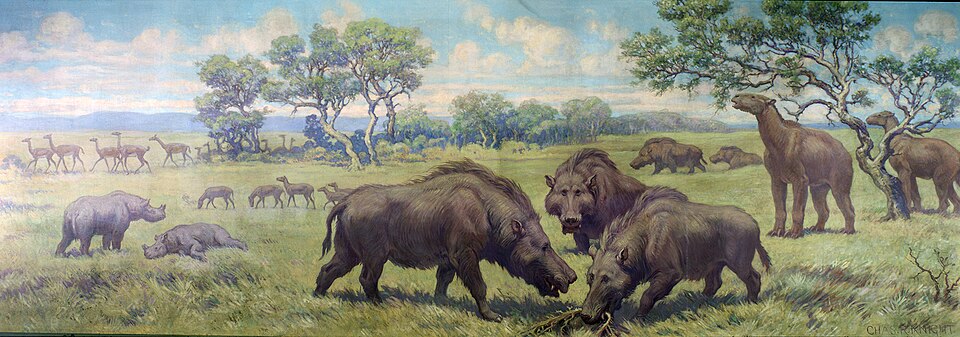 Charles R. Knight Plains Mammals from Miocene - Canvas Print