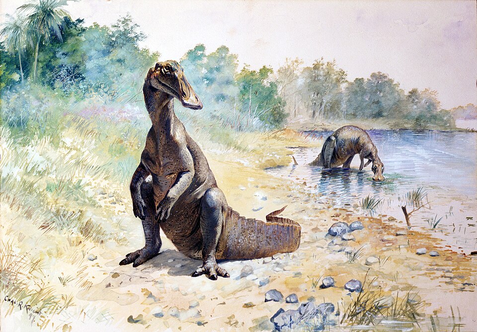 Charles R. Knight Hadrosaurus - Canvas Print