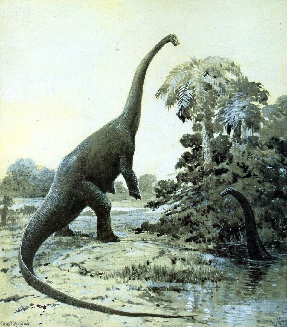 Charles R. Knight Rearing Diplodocus - Canvas Print