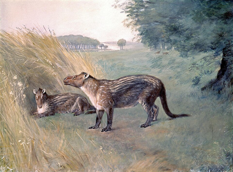 Charles R. Knight Phenacodus - Canvas Print