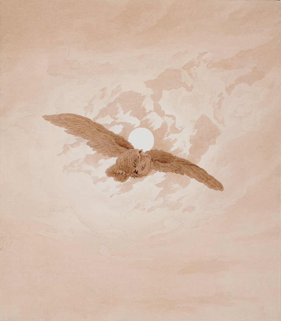 Caspar David Friedrich Owl Flying against a Moonlit Sky - Canvas Print