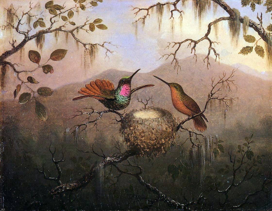 Martin Johnson Heade Two Hummingbirds at a Nest - Canvas Print