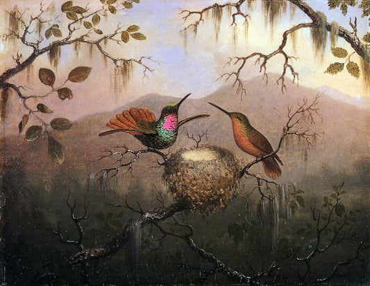 Martin Johnson Heade Two Hummingbirds at a Nest - Canvas Print