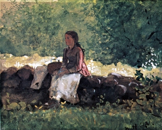 Winslow Homer On the Fence - Canvas Print