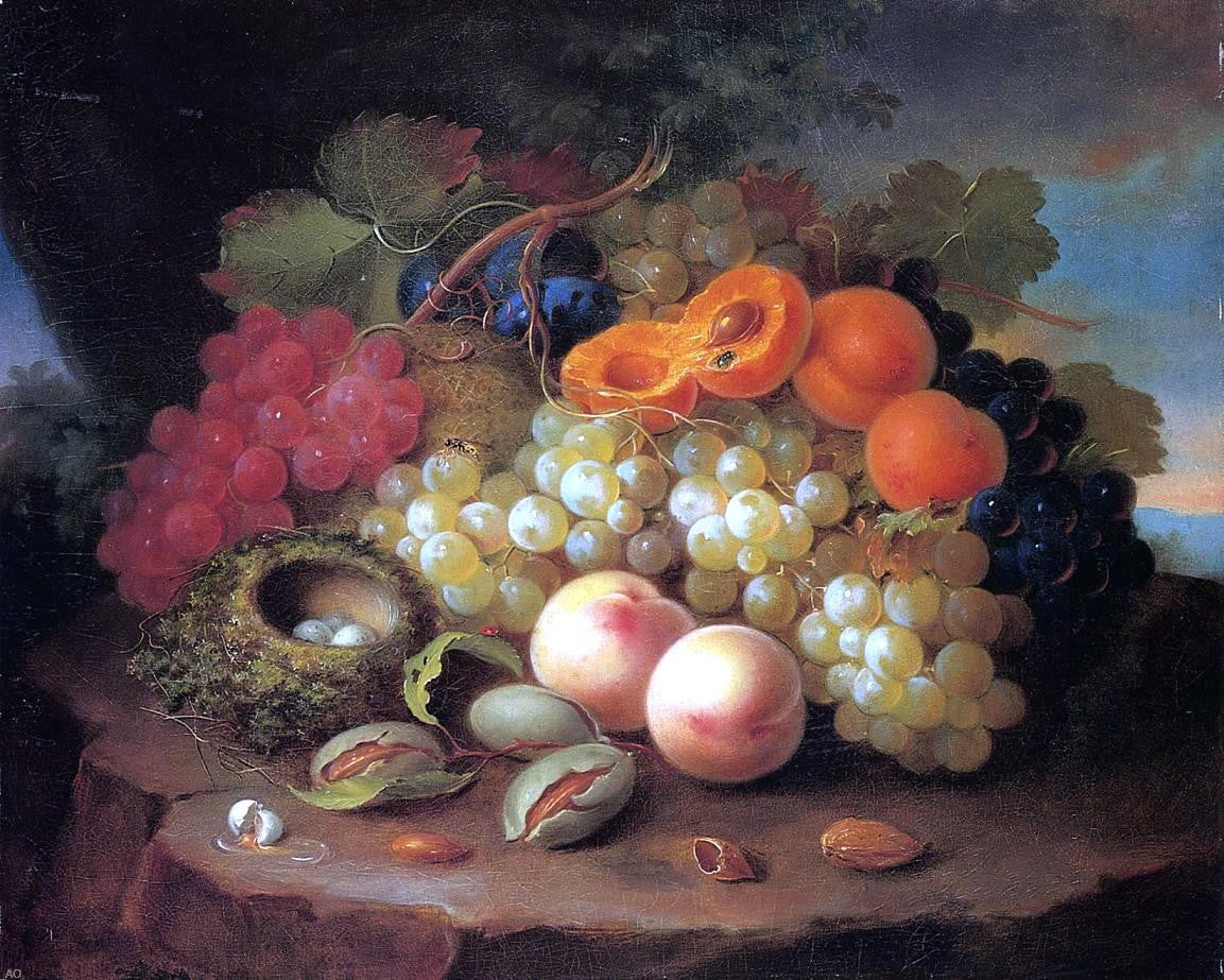 George Forster Still Life with Fruit and Bird's Nest - Canvas Print