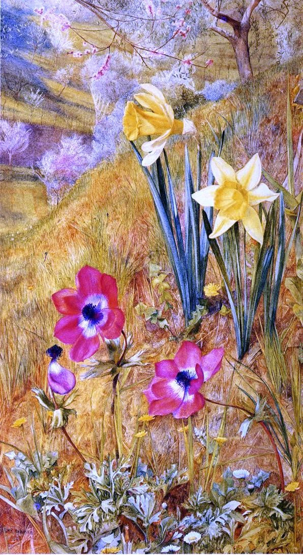 Henry Roderick Newman Anemones and Daffodils - Canvas Print