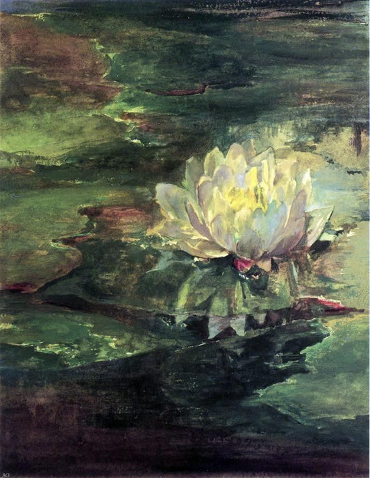 John La Farge Water Lily Among Pads - Canvas Print