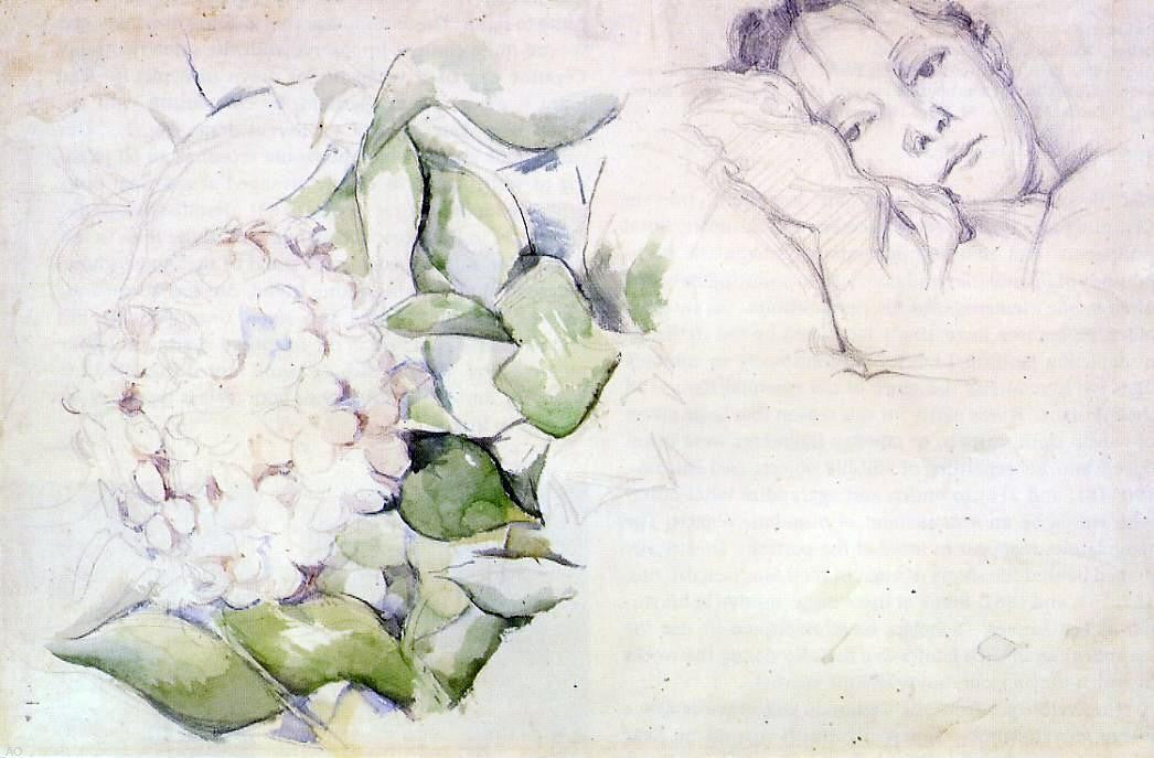 Paul Cezanne Madame Cezanne (Hortense Fiquet) with Hortensias - Canvas Print