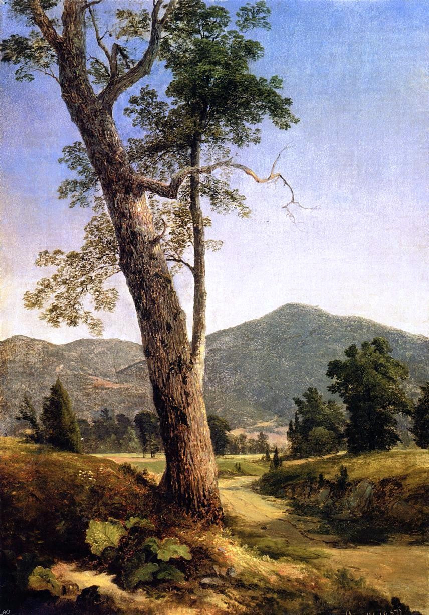 Asher Brown Durand Mountain Vista - Canvas Print