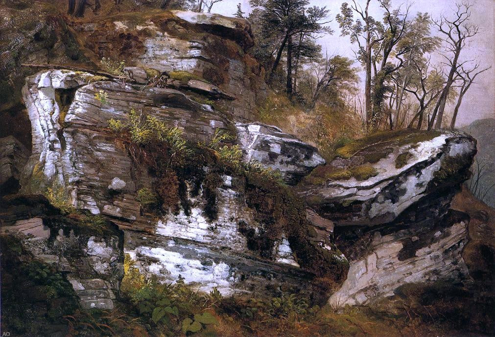 Asher Brown Durand Study at Marbletown, Ulster County - Canvas Print