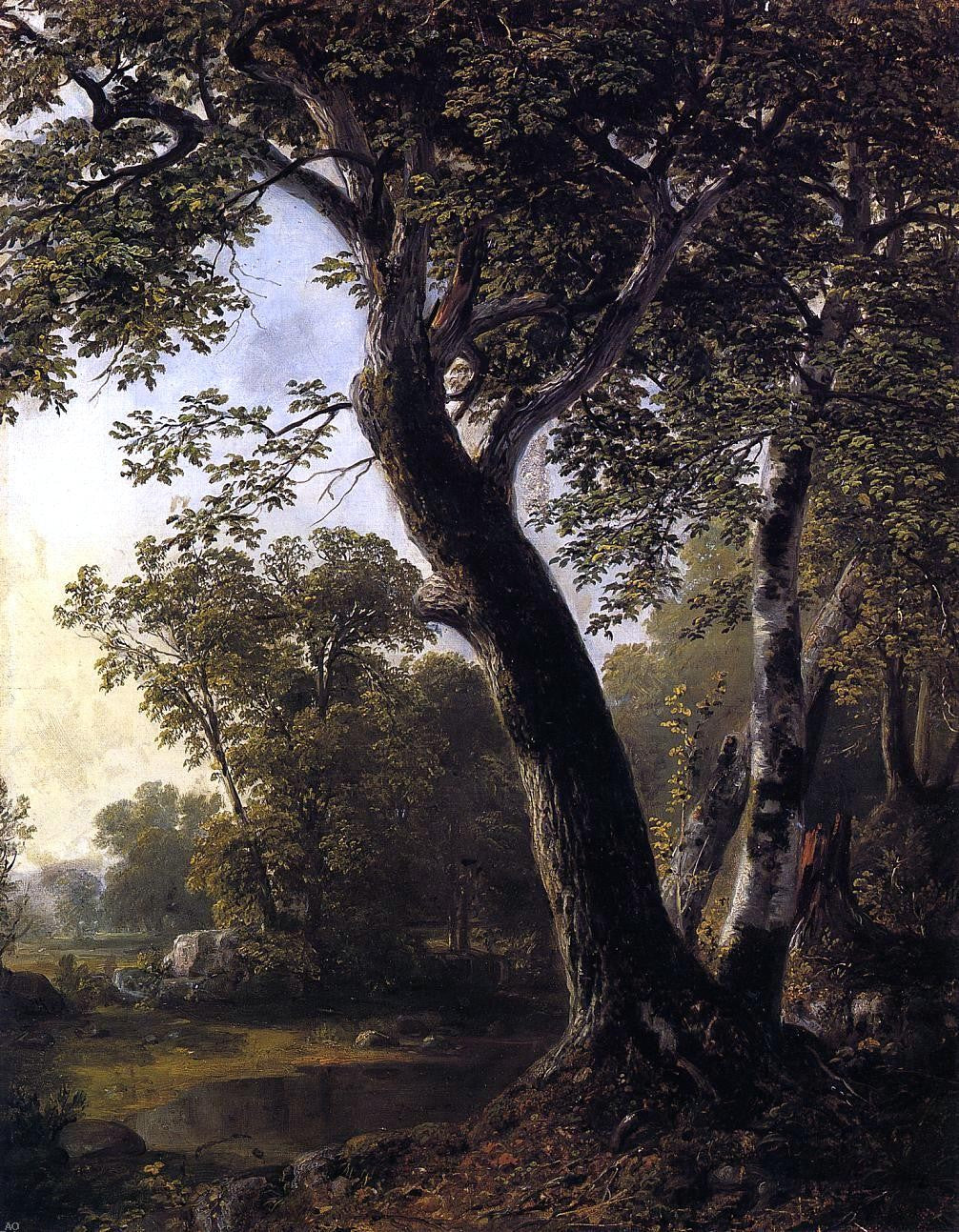 Asher Brown Durand Study from Nature, Hoboken, N.J. - Canvas Print