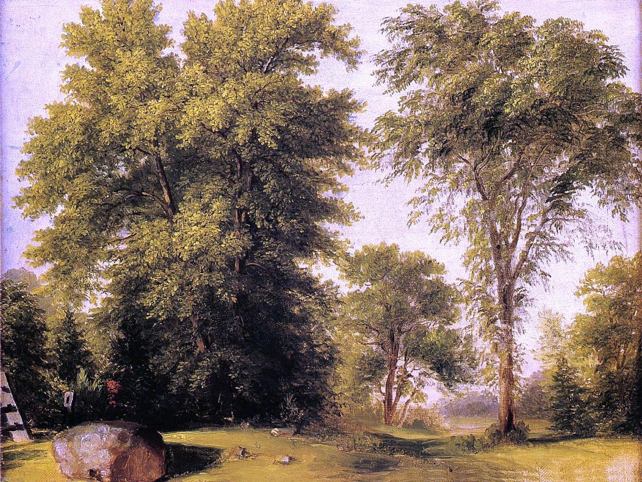 Asher Brown Durand Study from Nature, Rocks and Trees - Canvas Print