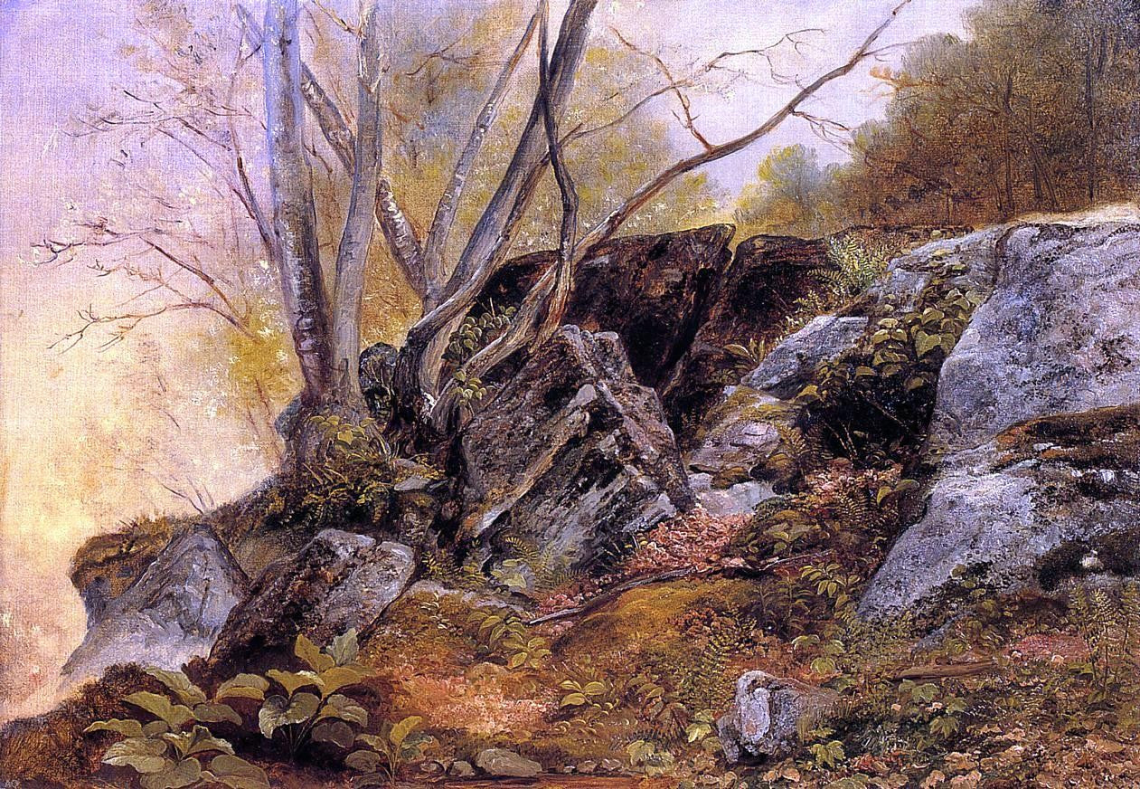 Asher Brown Durand Study in the Woods - Canvas Print