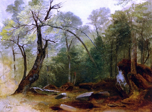 Asher Brown Durand Study of Trees, Marbletown, N.Y. - Canvas Print