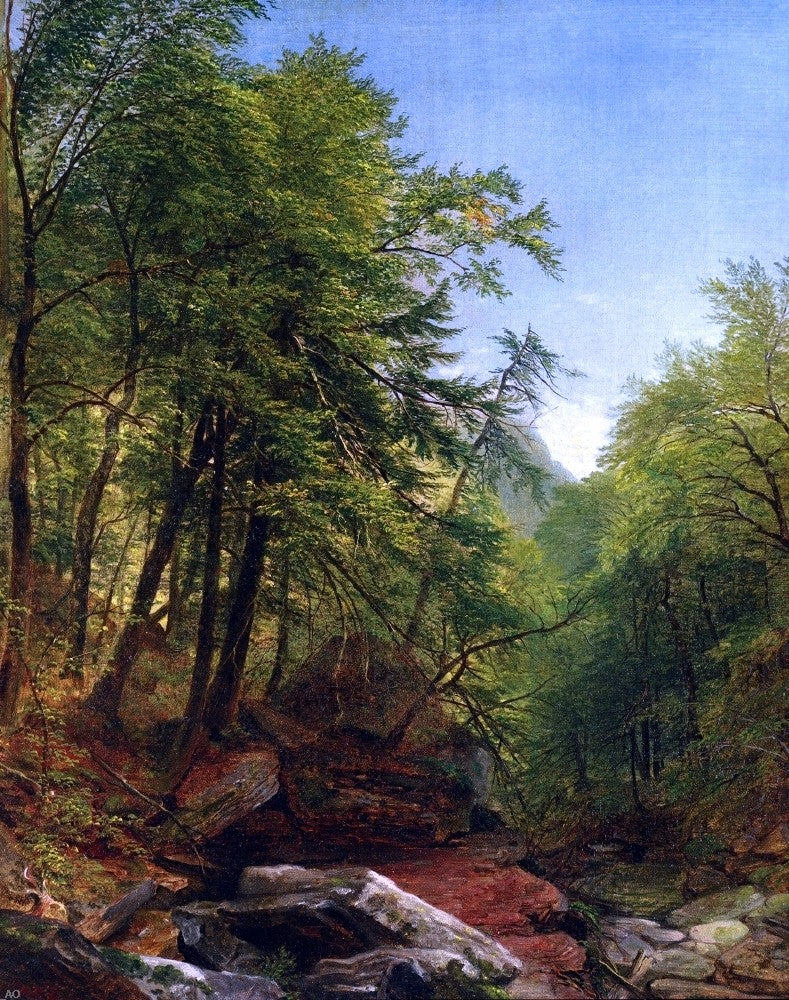 Asher Brown Durand Woodland Scene - Canvas Print