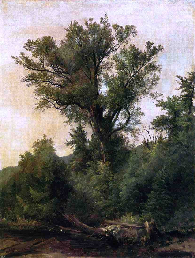 Asher Brown Durand A Stream in the Wood - Canvas Print