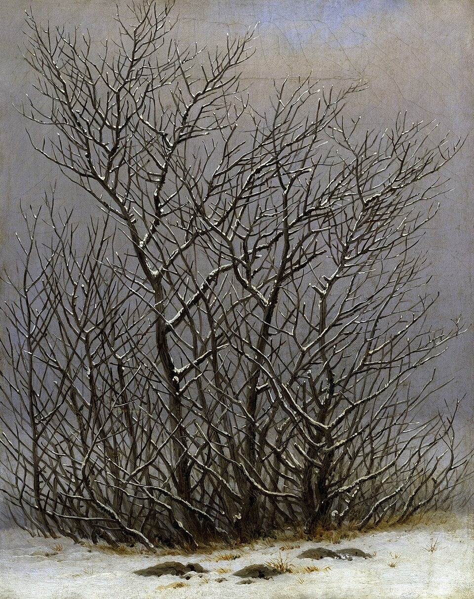 Caspar David Friedrich Trees and Bushes in the Snow - Canvas Print