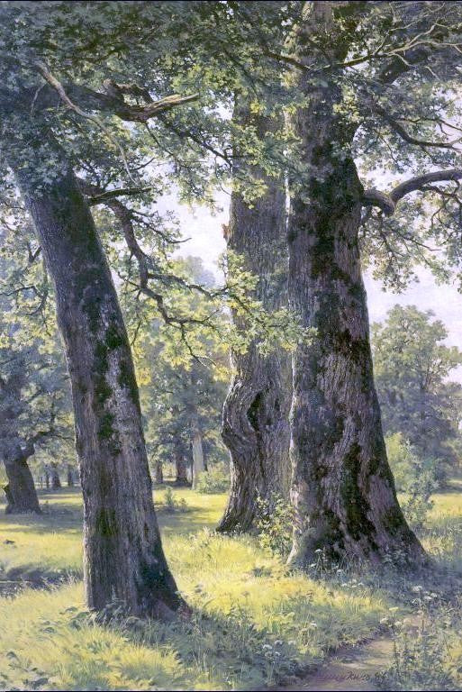 Ivan Ivanovich Shishkin Oaks - Canvas Print