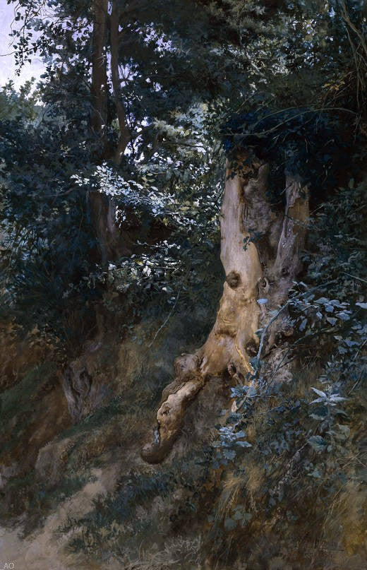 Jose Jimenez Y Aranda Paisaje Boscoso - Canvas Print