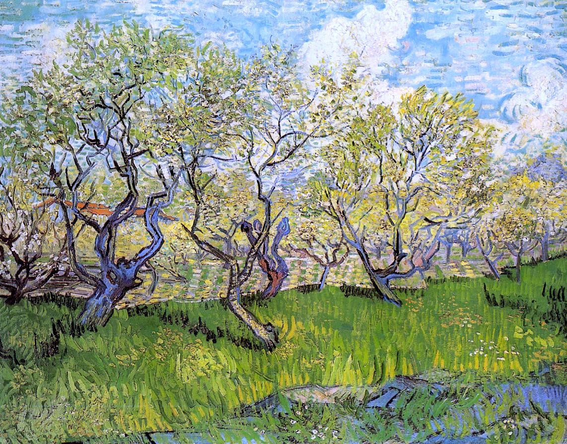 Vincent Van Gogh Orchard in Blossom - Canvas Print