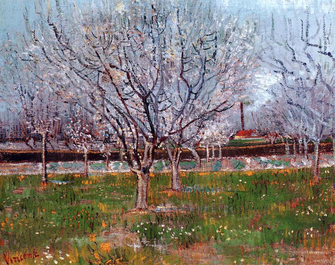 Vincent Van Gogh Orchard in Blossom (also known as Plum Trees) - Canvas Print