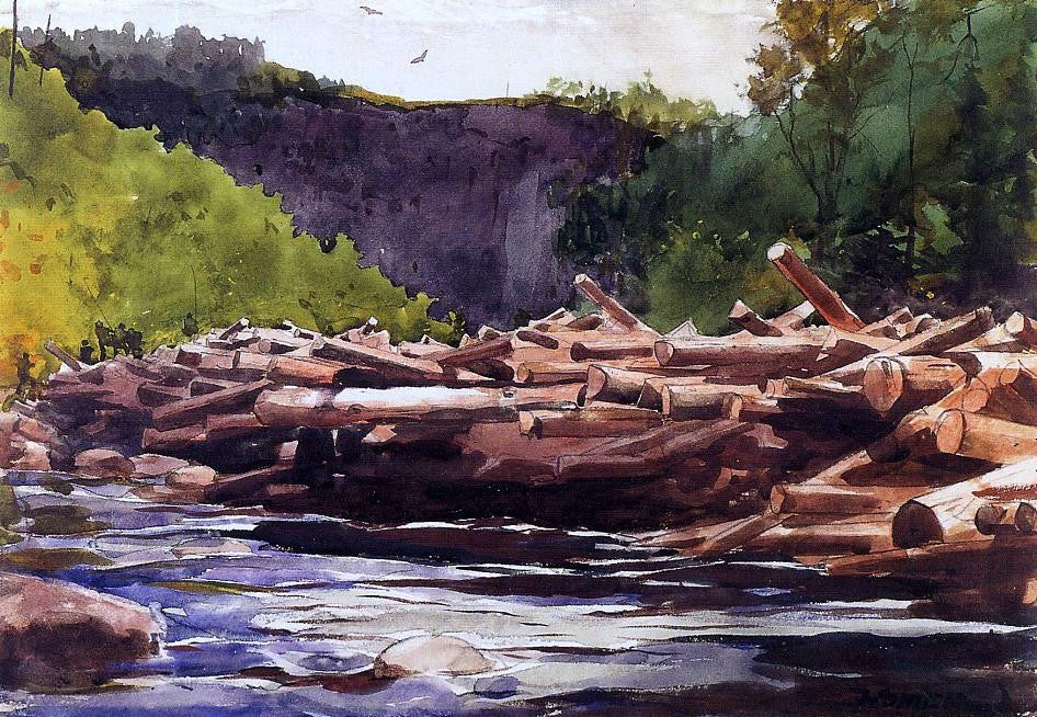 Winslow Homer Hudson River at Blue Ledge, Essex County (also known as The Log Jam) - Canvas Print