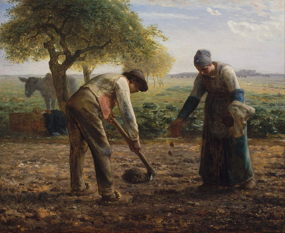 Jean-Francois Millet Potato Planters - Canvas Print