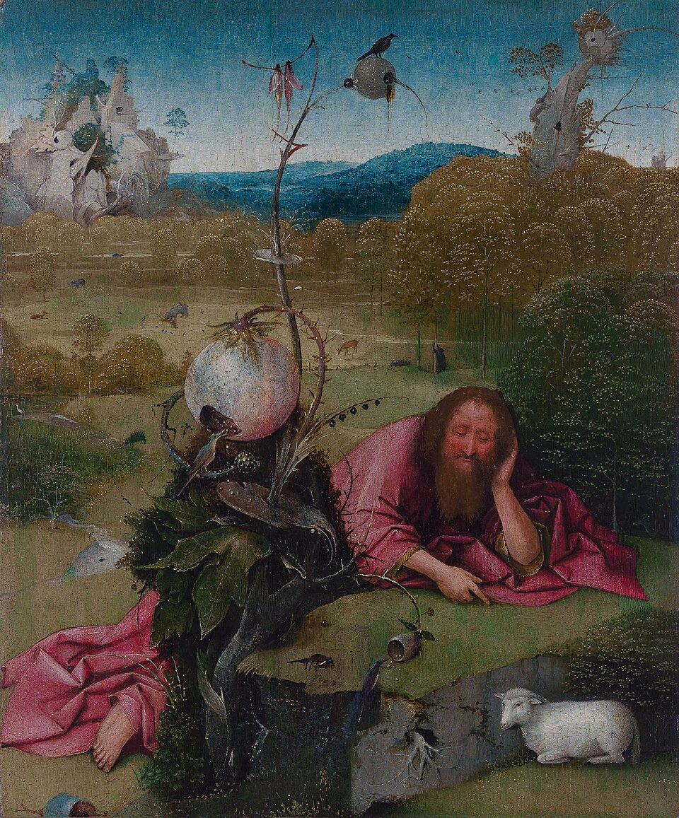 Hieronymus Bosch St. John the Baptist in the Wilderness - Canvas Print