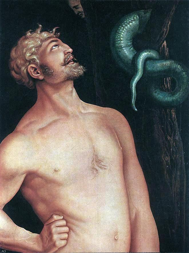 Hans Baldung Adam (detail) - Canvas Print