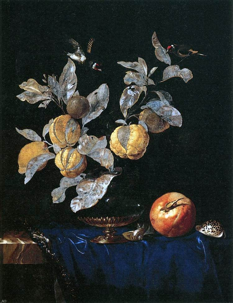 Willem Van Aelst Still-Life with Fruit - Canvas Print
