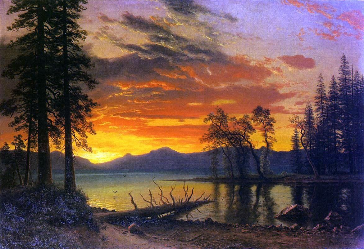 Albert Bierstadt Sunset, Deer, and River - Canvas Print