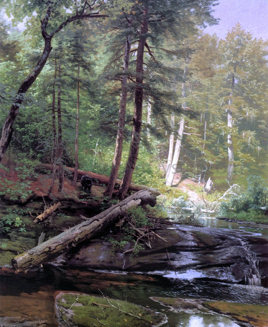 Herman Herzog A Bear Approaching a Forest Stream - Canvas Print