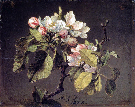 Martin Johnson Heade A Branch of Apple Blossoms and Buds - Canvas Print