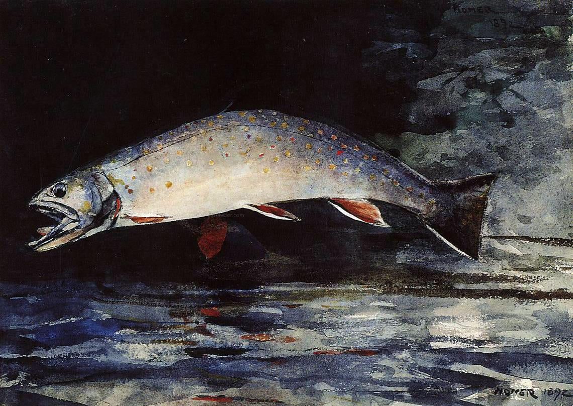 Winslow Homer A Brook Trout - Canvas Print