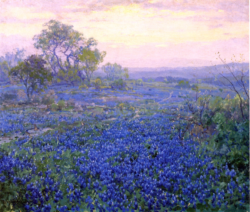 Julian Onderdonk A Cloudy Day, Bluebonnets near San Antonio, Texas - Canvas Print