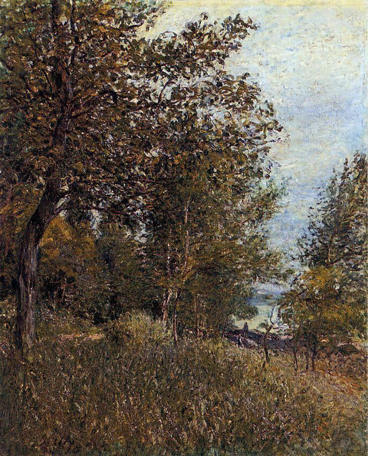 Alfred Sisley A Corner of the Roches-Courtaut Woods, June - Canvas Print