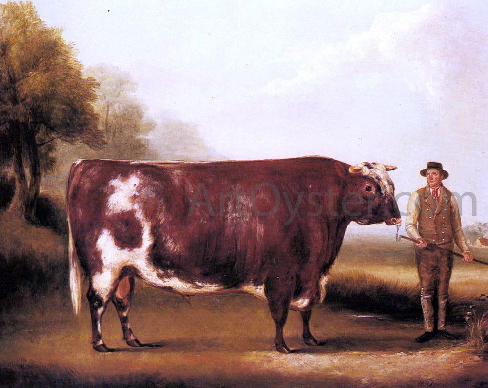 William Davis A Dark Roan Bull - Canvas Print