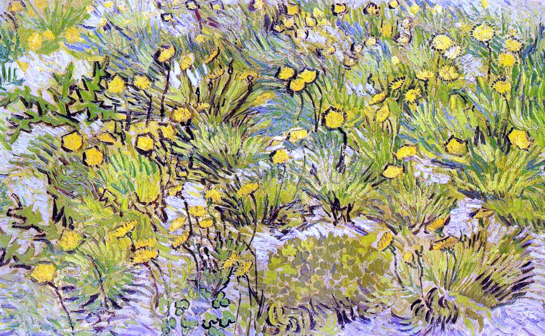 Vincent Van Gogh Field of Yellow Flowers - Canvas Print