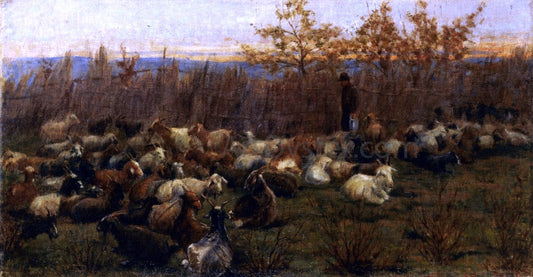 Nicolo Cannicci A Flock of Goats - Canvas Print