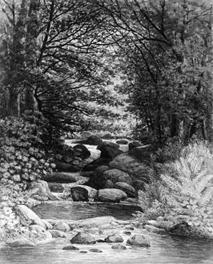 Henry Hitchings A Forest Cascade at Hiram, Maine - Canvas Print