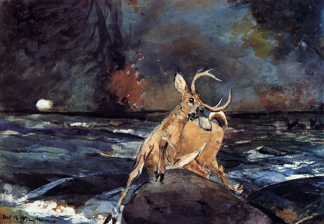 Winslow Homer A Good Shot, Adirondacks - Canvas Print