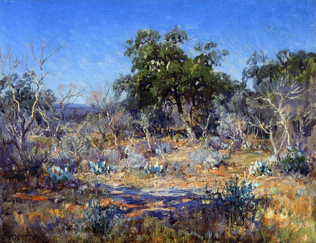 Julian Onderdonk A January Day in the Brush Country - Canvas Print