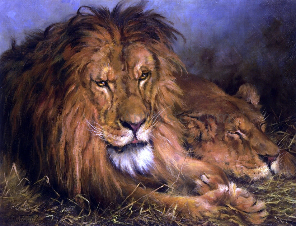 Geza Vastagh A Lion and Lioness - Canvas Print