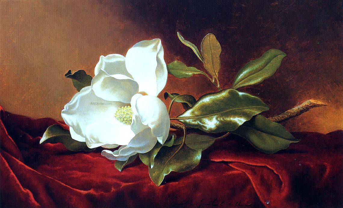 Martin Johnson Heade A Magnolia on Red Velvet - Canvas Print