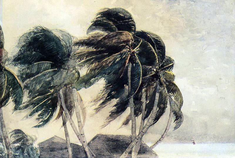 Winslow Homer A Norther - Key West - Canvas Print
