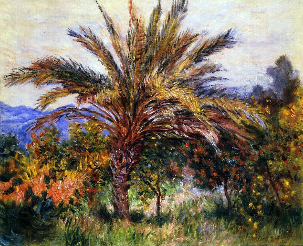 Claude Oscar Monet A Palm Tree at Bordighera - Canvas Print