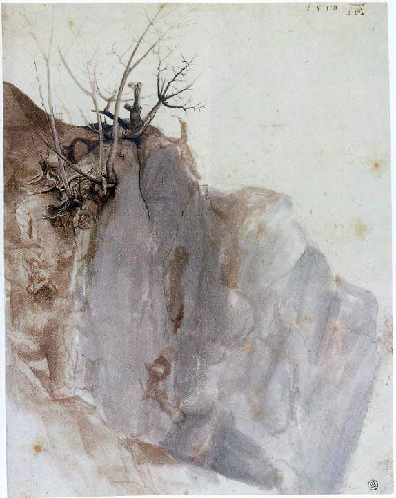 Albrecht Durer Quarry - Canvas Print