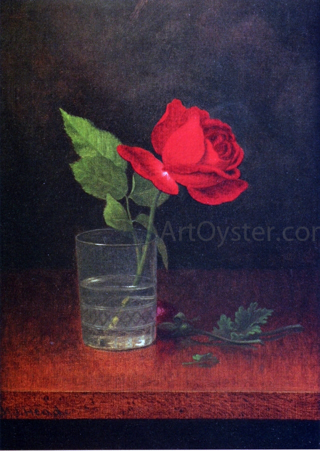 Martin Johnson Heade A Single Rose in a Glass - Canvas Print
